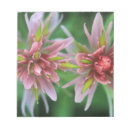 Recherche de macro blocsnotes Fleur