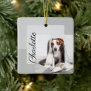 Recherche de dog photo ornaments Simple