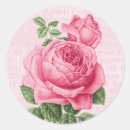 Search for vintage pink roses stickers Girly