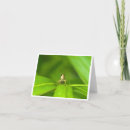 Search for hopper cards Insect