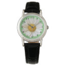 Recherche de marguerites montres Botanique