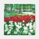 Recherche de tulipes rouges magnets Plante