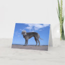 Search for bedlingtons cards Terriers
