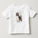 Search for springer spaniel tshirts Canine