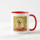 Search for smiling flower mugs Smile
