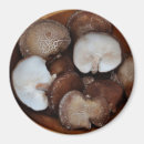 Search for mushroom magnets Kitchen