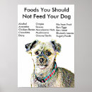 Recherche de chi posters Pour animaux