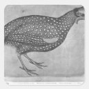Recherche de pisanello autocollants Dessin