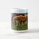 Search for maree mugs Foal