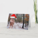 Search for deer hunter christmas cards Winter