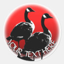 Search for canadian geese stickers Waterfowl