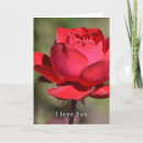 Recherche de rouge rose photographie Pour elle