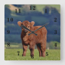 Recherche de cute cow posters Animals
