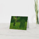 Search for bunches Green