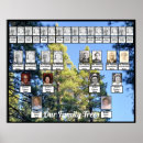 Recherche de pine forest posters Vert