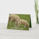Recherche de moutons vœux cartes Campagne
