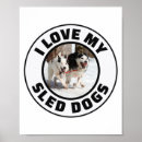 Recherche de chien de traîneau posters Sibérien