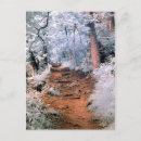 Recherche de chemin forestier cartes postales Piste