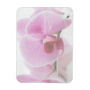 Recherche de orchidées magnets Nature