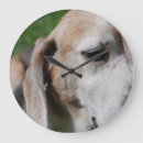 Recherche de beagle horloges Mignon