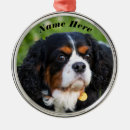 Search for cavalier king charles spaniel ornaments Animal