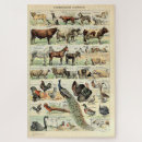Recherche de bétail puzzles Chevaux
