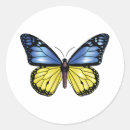 Search for proud ukrainian stickers Flag