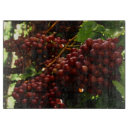 Recherche de vigne dessous de verres Rouge