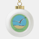Search for beach ball ornaments Shore