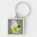 Search for ladybug keychains Focus