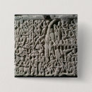 Search for crusader buttons School