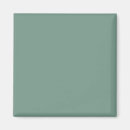 Recherche de vert solide magnets Couleur