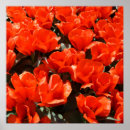 Recherche de jardinier posters Floral
