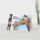 Search for giraffe christmas cards Wildlife
