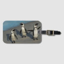 Recherche de pingouins bagages étiquettes Intégral