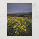 Search for columbia river gorge postcards Environment