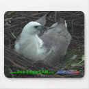 Search for sitting mousepads Bird