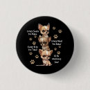 Search for bites buttons Dog
