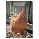 Recherche de poulet porte blocs Coq