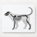 Search for x ray tech mousepads Doctor