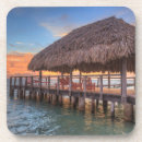 Search for beach hut coasters Seashell