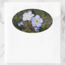 Search for forget me not flowers stickers White