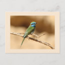 Search for eater postcards Animals