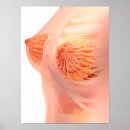 Search for duct posters Three dimensional