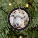 Search for sheep ornaments Animal