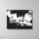 Search for black and white flowers canvas prints Dogwood