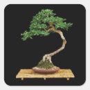 Recherche de bonsai autocollants Jardin