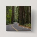 Search for redwoods buttons Landscape