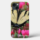Search for eastern cases Birding