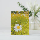 Recherche de champ des fleurs cartes postales Nature